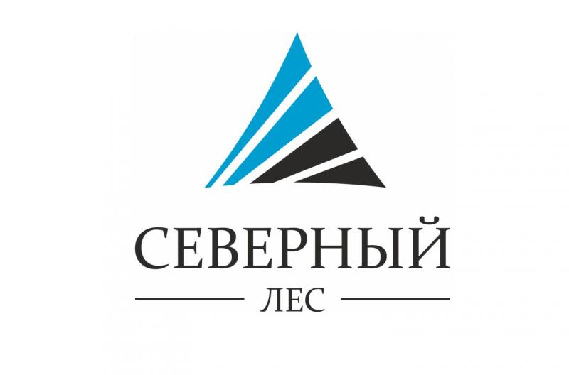 северный лес